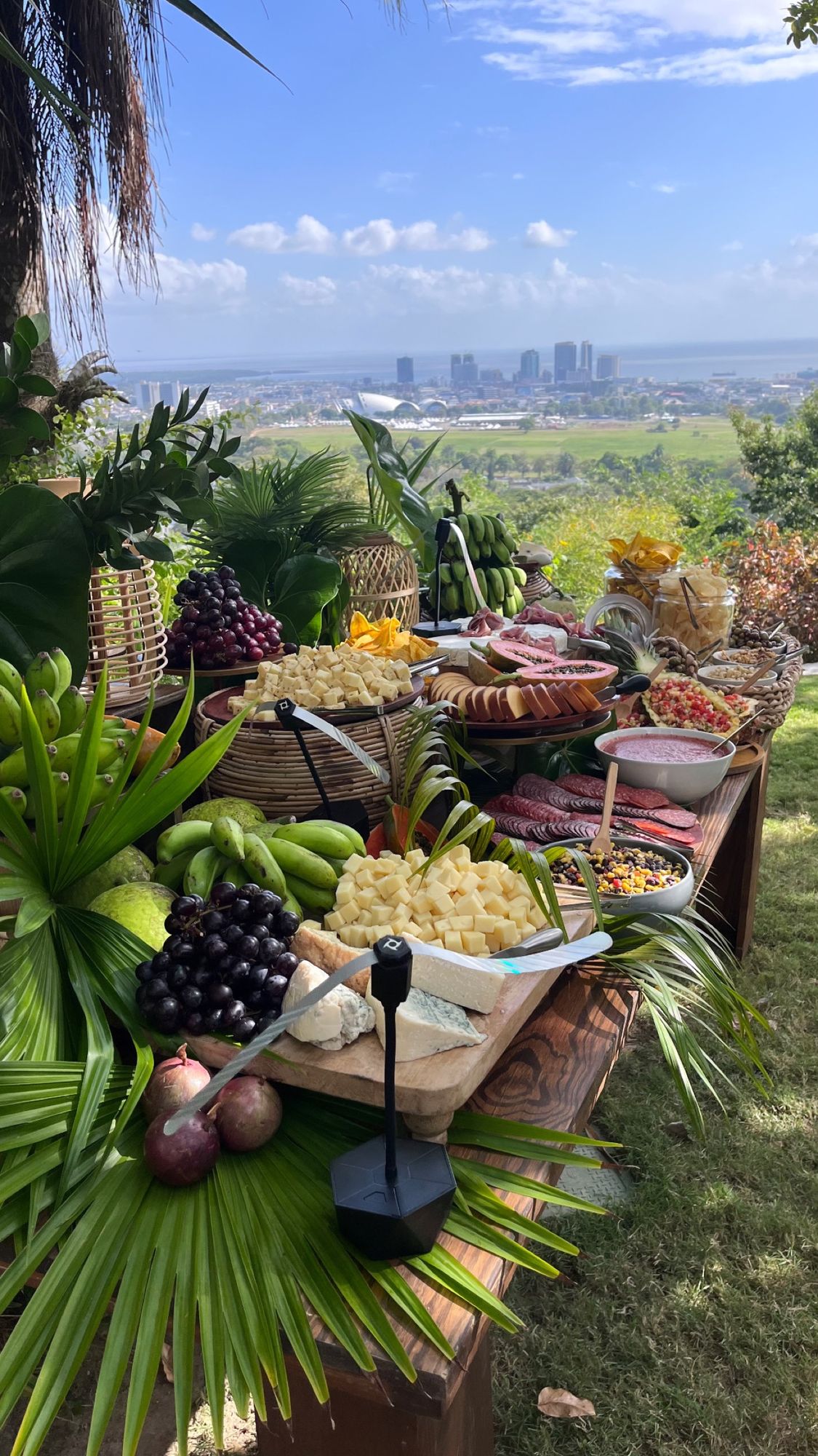 A grazing table styled outdoors above the Port of Spain skyline